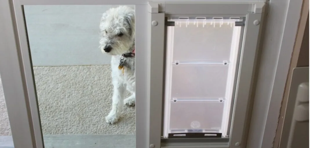 Energy-Efficient Pet Doors