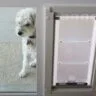 Energy-Efficient Pet Doors