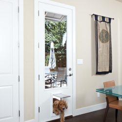 1-Replacement-Door-scaled.jpg
