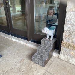 1-Steps-and-Ramps-scaled.jpeg